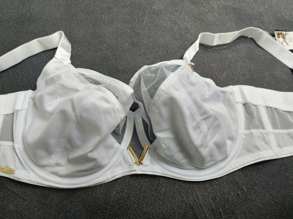 Galeria modeli 20240717 153042